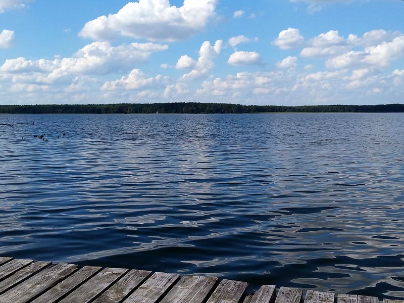 Drewniany pomost nad błękitnym Jeziorem Dominickim, letnie chmury nad lasem na drugim brzegu