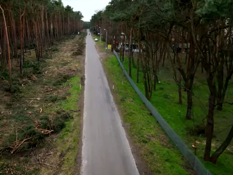 Ulica Dominicka biegnąca przez sosnowy las, widok z drona